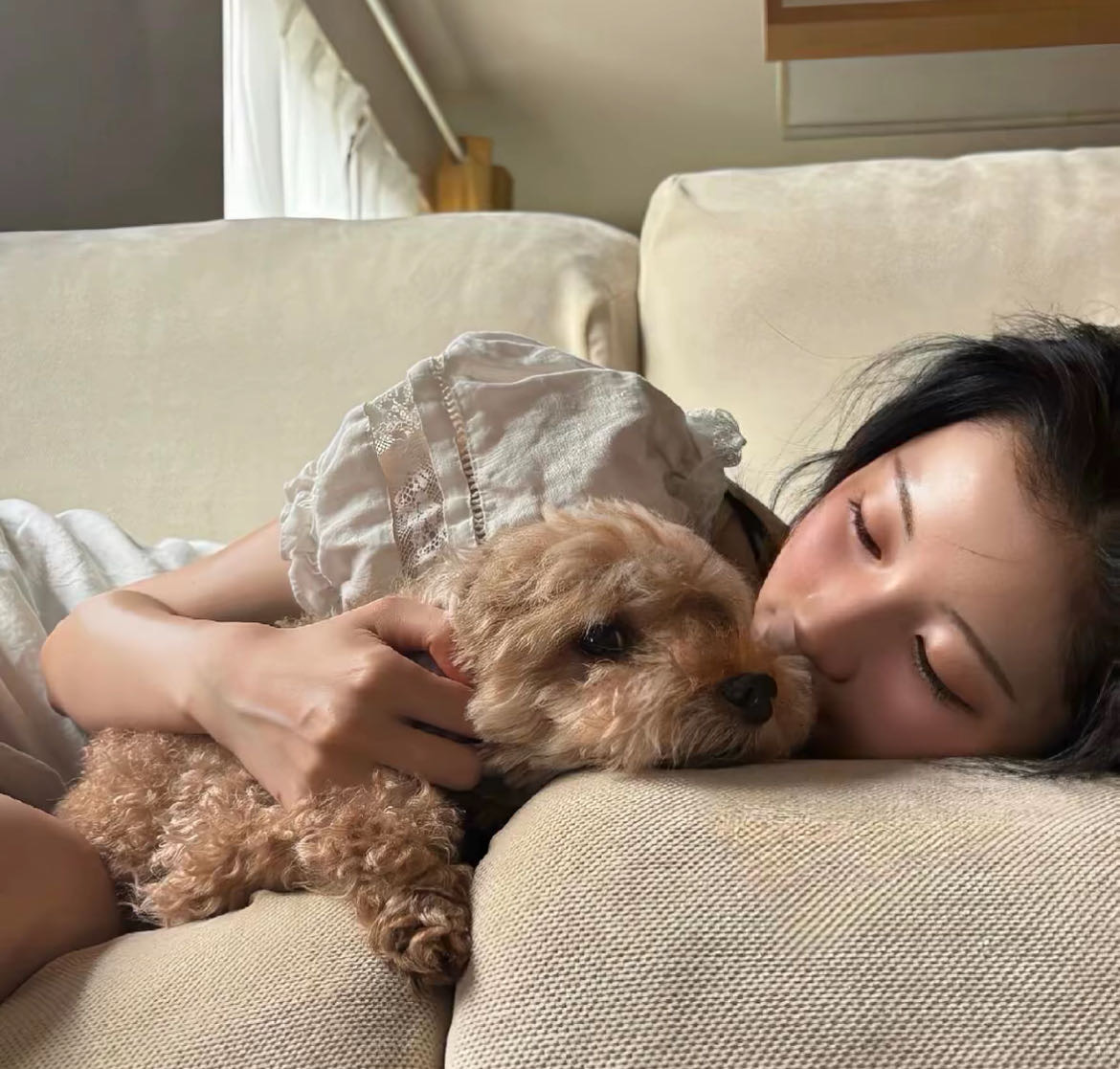 全网通营业厅真真